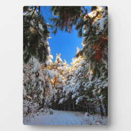 Winter Wonderland Fotoplatte