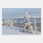 Winter Wonderland hellgraues Foto Geschenkpapier Set (Vorderseite 2)