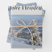 Winter Wonderland hellgraues Foto Geschenkpapier Set (Beispiel)