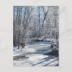 Winter Wonderland Iced Stream Snow Covered Trees Postkarte