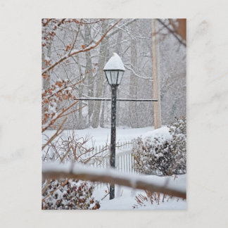 Winter Wonderland - Lampenpost Postkarte