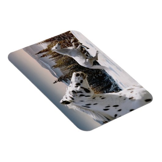 Winter Wonderland Magnet (Rechte Seite)