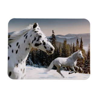 Winter Wonderland Magnet