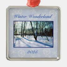 'Winter Wonderland' - Ornament 2025