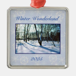 'Winter Wonderland' - Ornament 2025