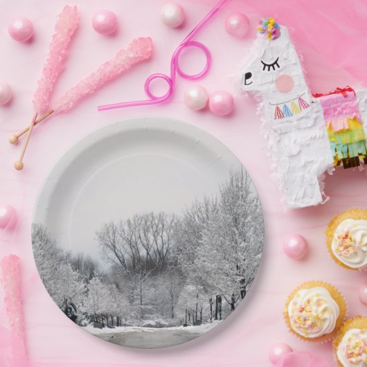 WINTER WONDERLAND PAPPTELLER (Party)