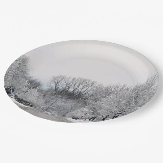 WINTER WONDERLAND PAPPTELLER (Schrägansicht)