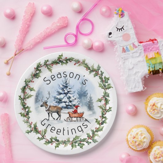 Winter Wonderland Pappteller (Party)