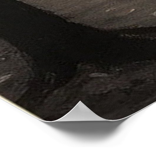 Winter Wonderland Park Poster (Ecke)