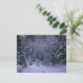 Winter Wonderland Post Card Postkarte (Stehend Vorderseite)