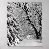Winter Wonderland Poster (Vorne)