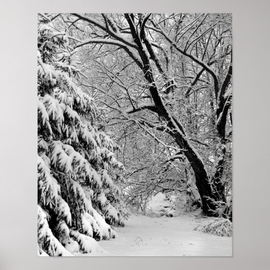 Winter Wonderland Poster (Vorne)