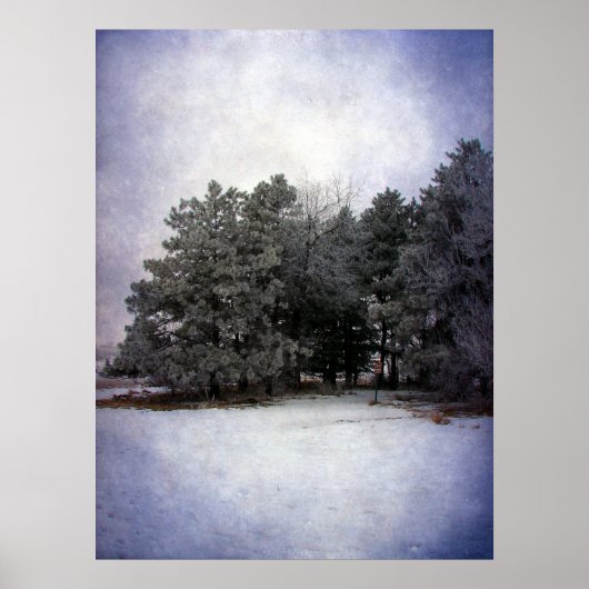 Winter Wonderland Poster (Vorne)