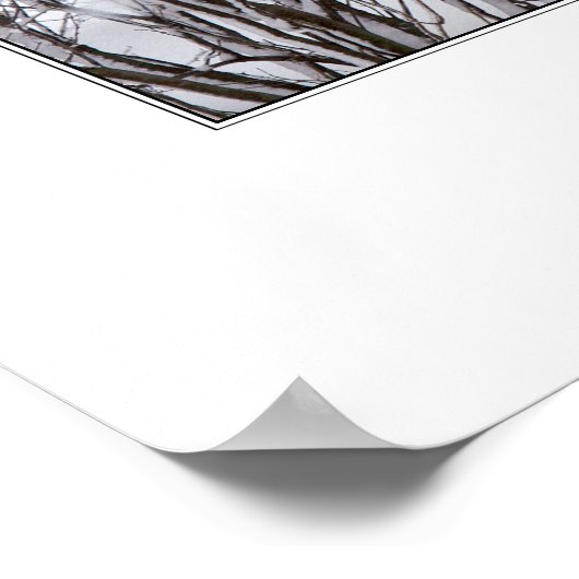 Winter Wonderland Poster (Ecke)