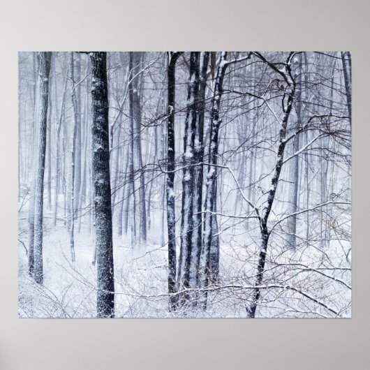 Winter Wonderland Poster (Vorne)