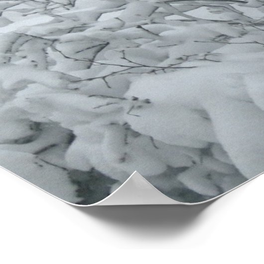 Winter Wonderland Poster (Ecke)