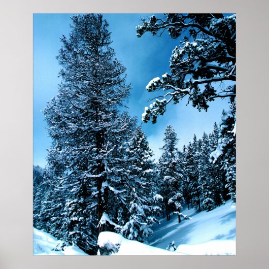 Winter Wonderland Poster (Vorne)