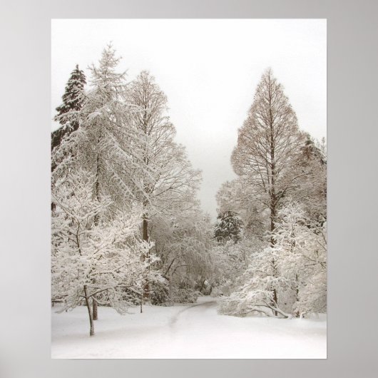 Winter Wonderland Poster Winter Vancouver Print (Vorne)