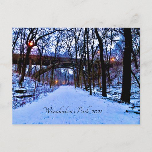 Winter Wonderland Postkarte (Vorderseite)