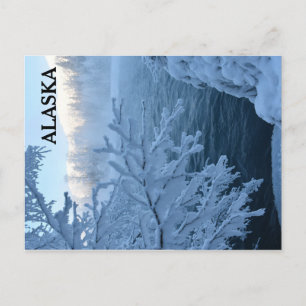 Winter Wonderland Postkarte