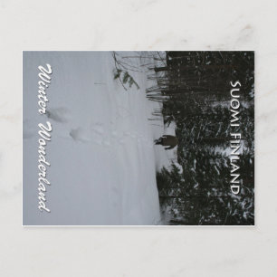 Winter Wonderland Postkarte