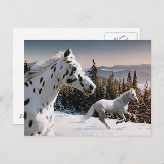 Winter Wonderland Postkarte (Vorne/Hinten)