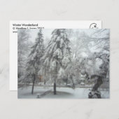 Winter Wonderland Postkarte (Vorne/Hinten)