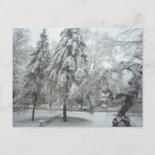 Winter Wonderland Postkarte