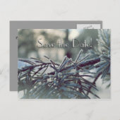 Winter Wonderland Save the Date Postkarte (Vorne/Hinten)