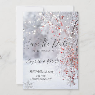 Winter Wonderland, Schneegirlanden-Lichter Termin Save The Date