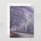 Winter Wonderland Travel Foto Postkarte (Vorne/Hinten)