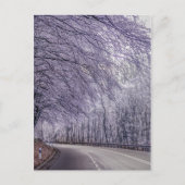 Winter Wonderland Travel Foto Postkarte (Vorderseite)