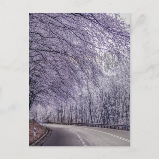 Winter Wonderland Travel Foto Postkarte (Vorderseite)