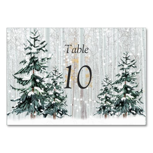 Winter Wonderland Wedding Stars Pine Tree Table Tischnummer (Vorderseite)