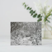 Winter Wonderland Woods im Schnee-Foto Postkarte (Stehend Vorderseite)