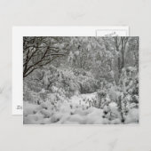 Winter Wonderland Woods im Schnee-Foto Postkarte (Vorne/Hinten)