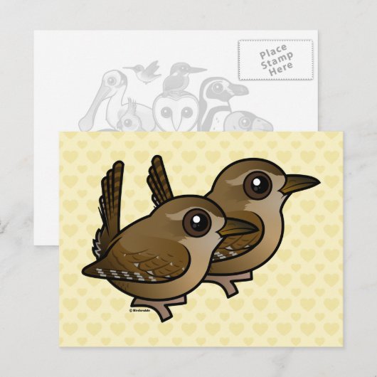 Winter Wren Pair Postkarte (Vorne/Hinten)