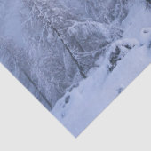 Winter Wunderland Nebel Fichtenwald Schneemonogram Seidenpapier (Detail)