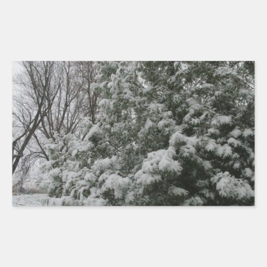 Winter Wunderland Pine Tree mit Schneefall Rechteckiger Aufkleber (Vorderseite)