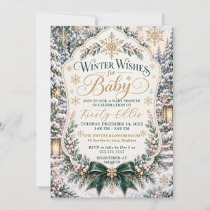 Winter-Wunsch-Baby-Party Einladung