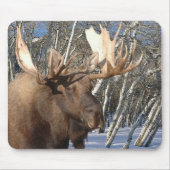 Winter-Zuhause Mousepad (Vorne)