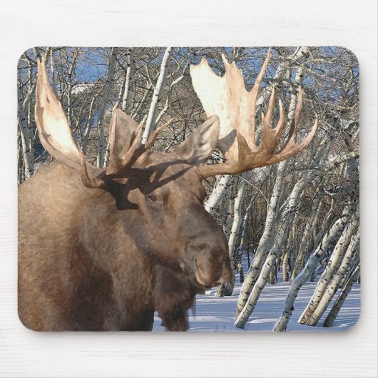 Winter-Zuhause Mousepad (Vorne)