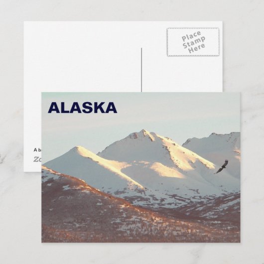 Winteradler Postkarte (Vorne/Hinten)