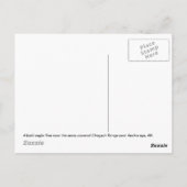 Winteradler Postkarte (Rückseite)