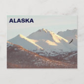 Winteradler Postkarte (Vorderseite)