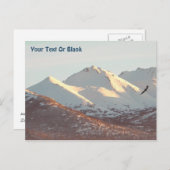 Winteradler Postkarte (Vorne/Hinten)