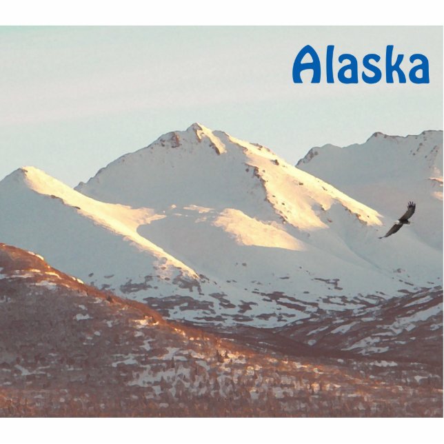 Winteradler und -gebirge fotoskulptur magnet (Vorne)