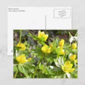 Winterakzente Postkarte (Vorne/Hinten)