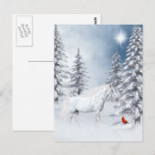 Winterappaloosa Postkarte (Vorne/Hinten)