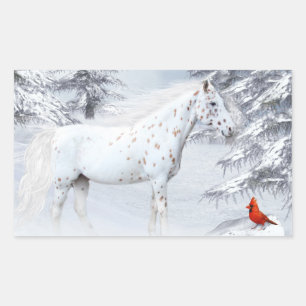 Winterappaloosa Rechteckiger Aufkleber